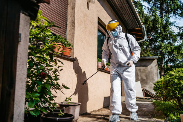 Best Flea Control Services  in Mcelhattan, PA
