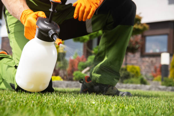 Best Mosquito Control Services  in Mcelhattan, PA
