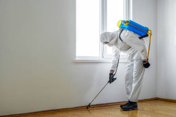 Best Local Pest Control Services  in Mcelhattan, PA