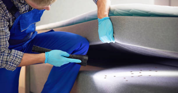 Best Residential Pest Control  in Mcelhattan, PA