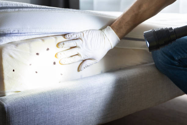 Trusted Mcelhattan, PA Pest Control Experts